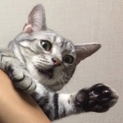 短歌や俳句を考えています