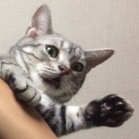 ZENMI (全美) (@zenmin15) 's Twitter Profile Photo