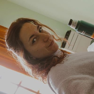 A fronte praecipitium, a tergo lupi