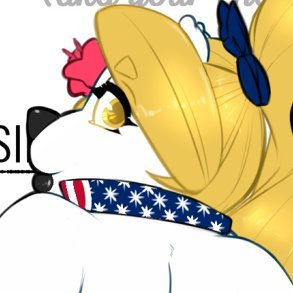 The Bear won't choose you | 🇺🇸 🇹🇼 🇺🇦さんのプロフィール画像