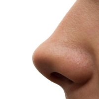 Il collega scettico (@regiumveritas) 's Twitter Profile Photo Il collega scettico (@regiumveritas) 's Twitter Profile Photo