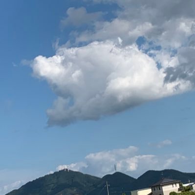 at20633432's profile picture. 毎日適当に生きてます！