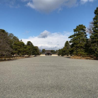 yoji111117's profile picture. エロと酒とポイ活&コジ活