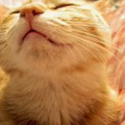 pochioh's profile picture. 取り合えず、甘いもの頂戴（＾＾