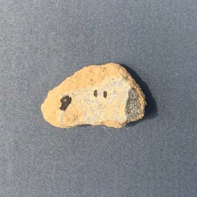 ポケモン、ちいかわ、ナガノキャラ、お笑い(にわか)、犬好き(犬アレルギーだけど)。アラサーの女です👰🏻♀️してて👦🏻います、金稼ぐ系ビジネス系投資系や怪しい、エロアカウントからいいねフォローされたらブロックします
