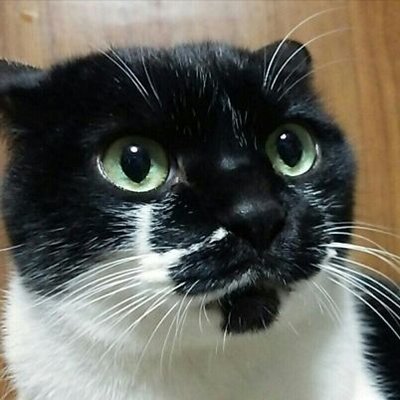 murayamadaze's profile picture. 