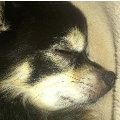 youngpunch3's profile picture. 仕事中のヒマつぶしシマ