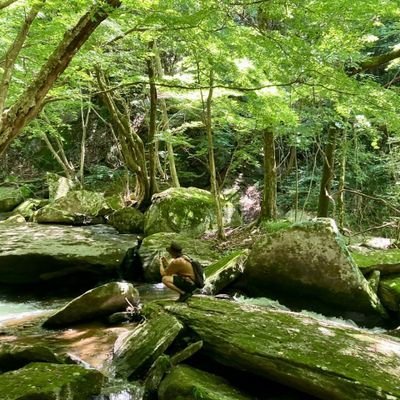 sprg69n9's profile picture. ゆるーくいきま！！