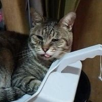すーさん (@a24_jun) 's Twitter Profile