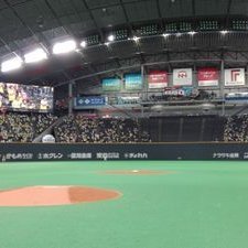 212_tonton's profile picture. 