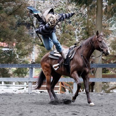 乗馬クラブGOCOO HORSE VILLAGE場長🐴✨乗馬インストラクター🤠スタントチームGocoo所属🔥ポニー出張【tabi pony】🐴🚚💨/絵本作家🦄絵本『サニー いのちの旅』（幻冬舎）作者