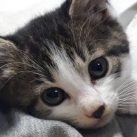 USNOJACK@ClimateActionNow! (@usnojack) 's Twitter Profile Photo