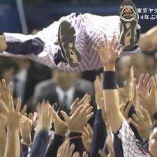 toratubame's profile picture. ヤクルトが大好き。素敵な写真を見るのが好き。自分でも撮れたら、いいなーと散歩する日々。