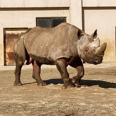 MqsmWD4P0BNKL6M's profile picture. 相撲/hiphop/ジャグラー