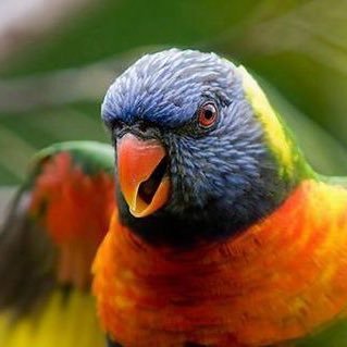 0459999z's profile picture. 今の政治をぶっ潰す会！