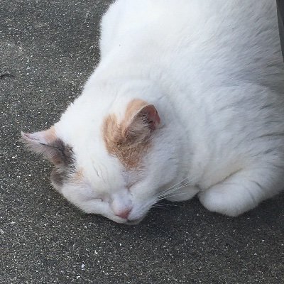 趣味は食べ歩き。全国各地に美味しいものを求めて月に1日は食べに行ってます。