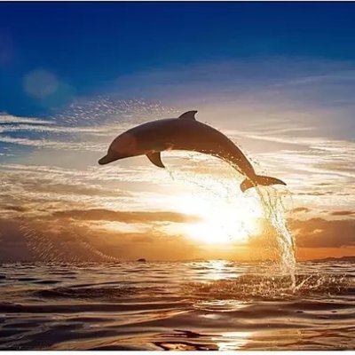 Maria01715's profile picture. ♡Happy♡
♡Smile♡
♡enjoyLife♡
♡cooking♡

懸賞Rtに挑戦中!!
石窯オーブンレンジ・バルミューダ・
STAUB・Switch＆PS4欲しい!!!

シフォンケーキ作りにハマってます。

コスメ美容💄
観葉植物🍀にハマってます。
＃多肉植物 
＃懸賞初心者
＃お菓子作り