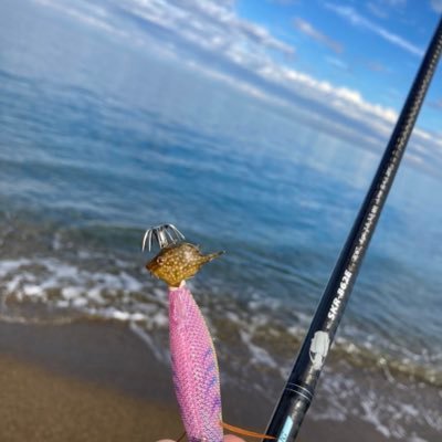 80F80F80F's profile picture. サッカー、釣り 無言フォロー失礼します。    🐟  If you can’t win, don’t lose.