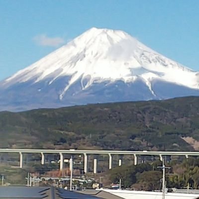 Tom87372314's profile picture. 