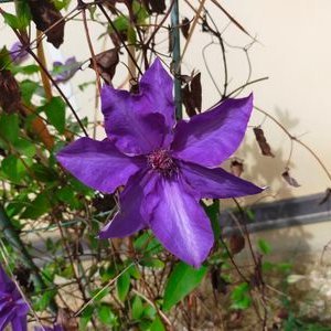 818yuzu1128's profile picture. 