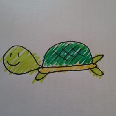 Kame19800731's profile picture. 