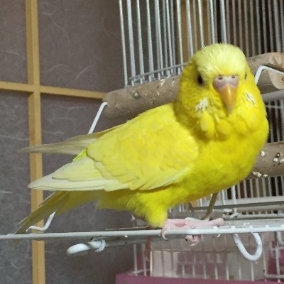 wazakita_t's profile picture. 