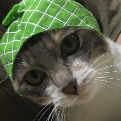 kn11252015's profile picture. ひっそりセブチ沼に… ハニ、ばーのん …ミンギュにもキャーなる(笑)まだまだ新米ですが、まったり宜しくお願い致します。娘っこ2人の、おんま。ナンバーズ関係、無言フォロー申し訳ありません🙏