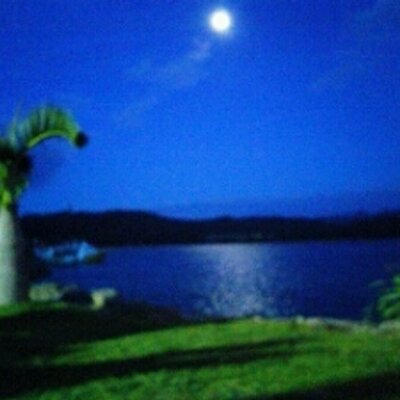 kijissan's profile picture. 