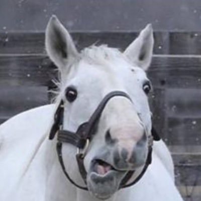 makotooo2's profile picture. 民主党→自民党→国民民主党→参政党→自民党、リーダーや政策によって支持政党がコロコロ変わる人です。無言フォロー失礼します。苦手な人（選択的夫婦別姓・同性婚・愛子天皇など主張する人）ブロックはしませんが、話の通じない人や粘着質な人はミュートします。無反応になったらミュートしやがったと思ってください。