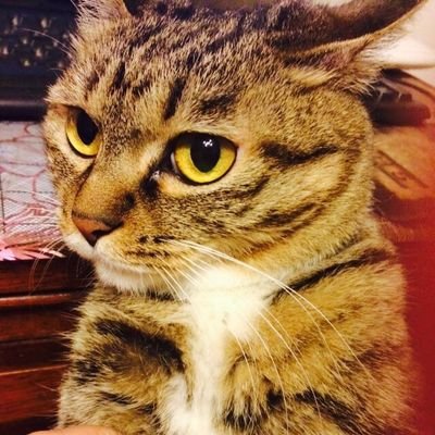 eeee000buzuo's profile picture. eeee000