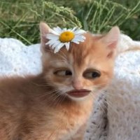 YouKnowMeALittleGo (@uknowmeltgo) 's Twitter Profile
