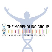 The Morpholino Group(@MorpholinoLab) 's Twitter Profile Photo