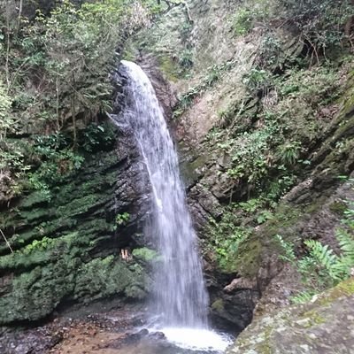 kurotakihideo's profile picture. 東京都中野区中野2丁目の女子
大阪・関西万博内部の人