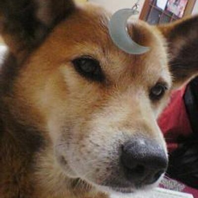 rocky_don's profile picture. 鹿児島在住の変わり者

自分の時間を大切に
マイペース人間です