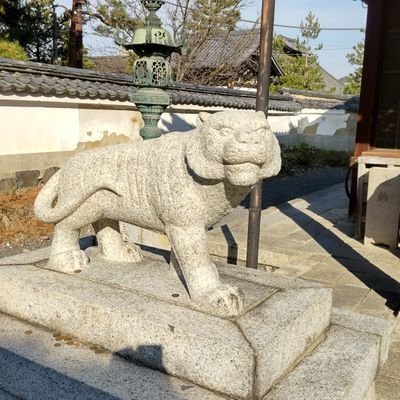 yonchandesse's profile picture. 