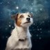 P. G. Parks, Author, Certified Dog Trainer (@dancingdoggyday) Twitter profile photo P. G. Parks, Author, Certified Dog Trainer (@dancingdoggyday) Twitter profile photo
