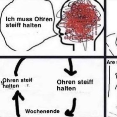 Ohren Steiff Halten