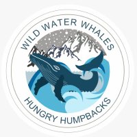 WildWaterWhales-Hungry Humpbacks(@wildwaterwhales) 's Twitter Profile Photo