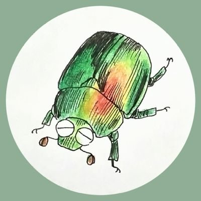 私からのDMの“リンク”を開きタップすると乗っ取られ、それと同じDMをFFさん全てに送ってしまいます(※送った側には見えない)(※私は開いてしまい、乗っ取られてしまいました)。ご迷惑をおかけして本当にごめんなさい
◆昆虫、艦艇&軍用機やメカ、歴史が好物。
史跡を訪れたり、お絵描きしたりしています。最近はプラモ多め
