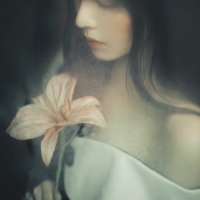 h*取引 (@blue8_red11) 's Twitter Profile