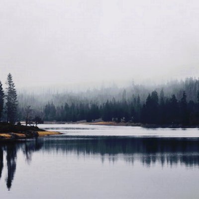 kathy_murp10726's profile picture. 