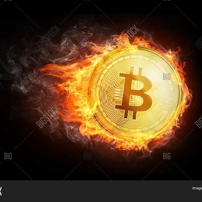cryptoking8233 Profile Picture