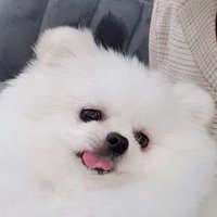 성우 손정민 (@dw12min) 's Twitter Profile Photo 성우 손정민 (@dw12min) 's Twitter Profile Photo