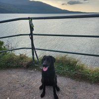 Sinéad Murphy (@mccarthy25s) 's Twitter Profile