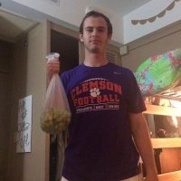 upton stout hive leader (fully magnetic) (@cleve989) 's Twitter Profile