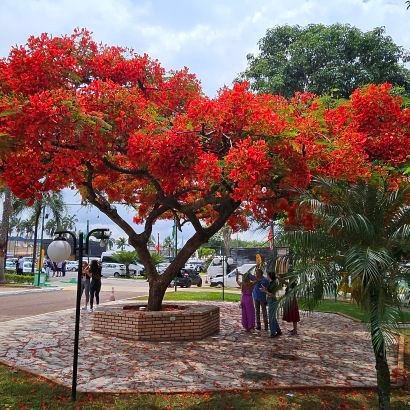 Yahoo729207's profile picture. VST ATV