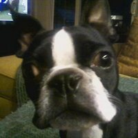 Alicia Kieninger (@aliciak1975) 's Twitter Profile