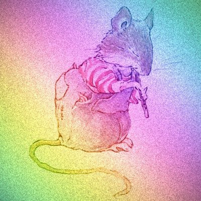 WToadflax's profile picture. 