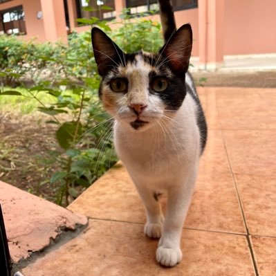 DarkaouiIn's profile picture. 