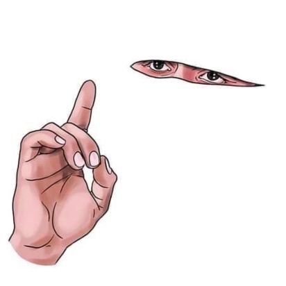 TinhinaneD's profile picture. 